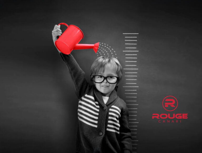 Dans l’univers de la bio-inspiration