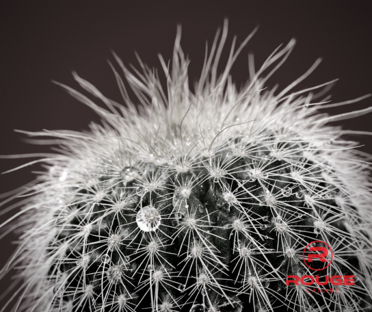 Comment faire fuir les entrepreneurs ?